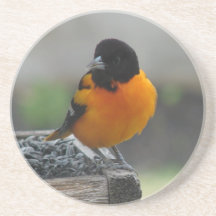 Baltimore Oriole Coaster