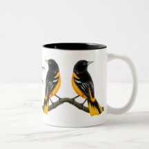 Baltimore Orioles Wild Birds Mug