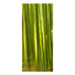 Bamboo abstract rack card template