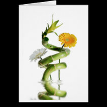 Bamboo and gerbera daisies cards