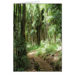 Bamboo Trail Cards
