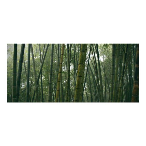 Bamboos Custom Rack Cards