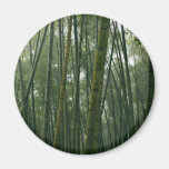Bamboos Refrigerator Magnets