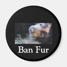 Ban Fur Refrigerator Magnets