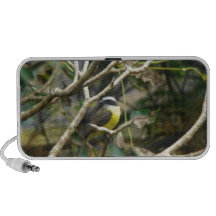Banana-Quit Bird In Tree Laptop Speaker