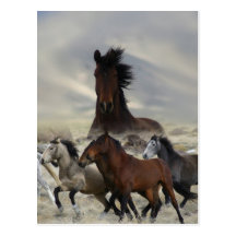 Band Of One Postcard
