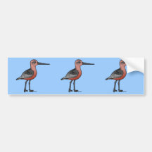 Bar-tailed Godwit Bumper Stickers