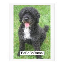 Barack Obama Portuguese Water Dog Invitations