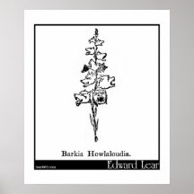 Barkia Howlaloudia. Posters