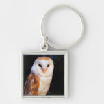 Barn Owl 2 Keychain