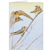 Barn Swallow Family Greeting Card