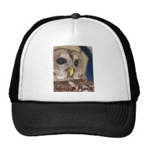 Barney the Owl Hat