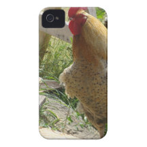 Barnyard Chicken iPhone 4 Case-Mate Case