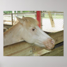 barnyard pony print