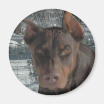 baron in snow magnets