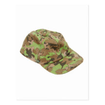 BaseballHat062509 Postcard