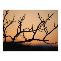 Basket of Sunset Art Photo