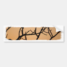 Basket of Sunset Bumper Stickers