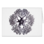 Basket Star Card