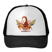 Basketball? Baseball? Soccer? Sports? Logo Hats