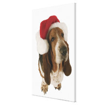 Basset hound in Santa hat Canvas Prints