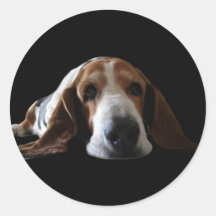 Basset Hound lying down Stickers
