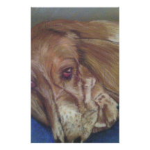 Bassett Hound Stationery Design