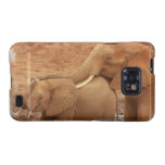 Bathing Baby Elephant Samsung Galaxy Case