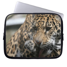 Bathing Leopard Laptop Sleeve