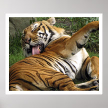 Bathtime I Posters