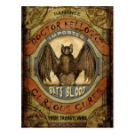 Bats Blood Post Cards