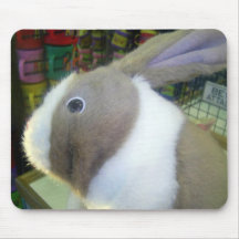 Battery Operated Bunny Toy Mouse Pads