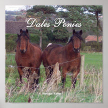 Bay Dales Poster