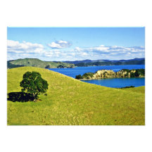 Bay Of Islands, North Island Personalized Announcement