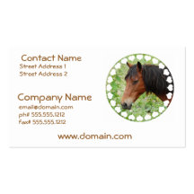 Bay Paso Fino  Business Card