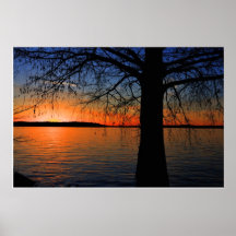 Bayou Sunset Posters
