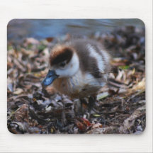 Be Adventurous Mousepads