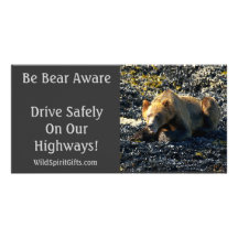 BE BEAR AWARE Photo Cards