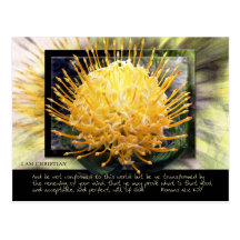 Be Ye Transformed Post Cards