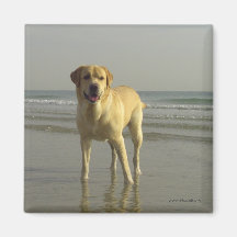 Beach fun refrigerator magnet