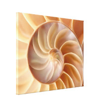 Beach Nautilus Shell Art Canvas Print