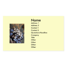 Beach/Ocean Business Card 1