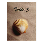 Beach Serenity Table Card Post Card