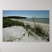 Beach shore line and vegetation print