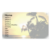 Beach Shoreline Sunset Business Card