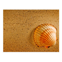 Beach Wedding Tropical RSVP Invitation Post Cards