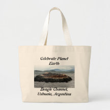 Beagle Channel Bag