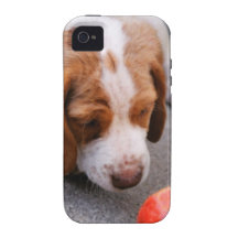 Beagle - Hound dog puppy iPhone 4/4S Cases