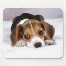 Beagle Puppy Dog Mousepads