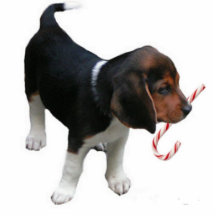 Beagle Puppy Ornament Photo Cutout